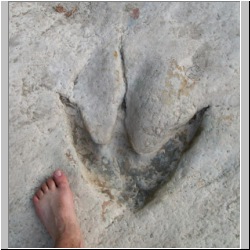 100_0461 (2009-26-07)m.JPG